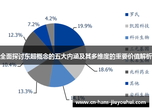 全面探讨东超概念的五大内涵及其多维度的重要价值解析