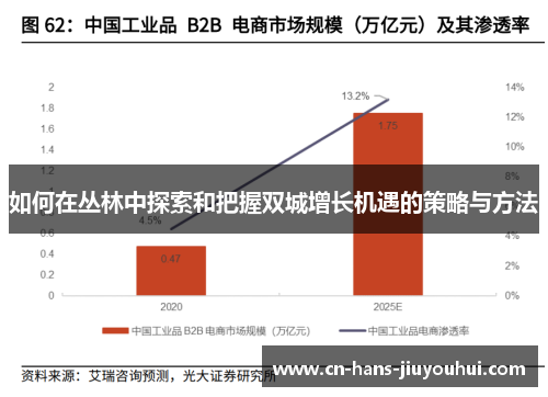 如何在丛林中探索和把握双城增长机遇的策略与方法