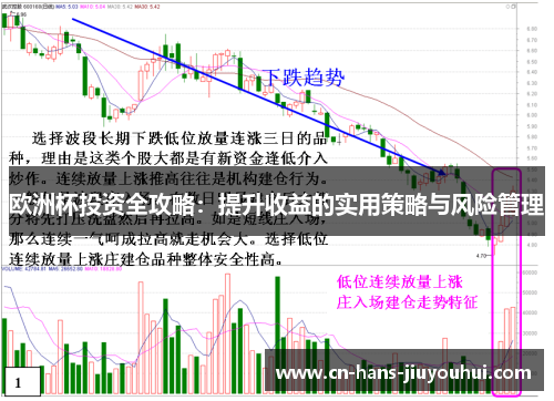 欧洲杯投资全攻略：提升收益的实用策略与风险管理